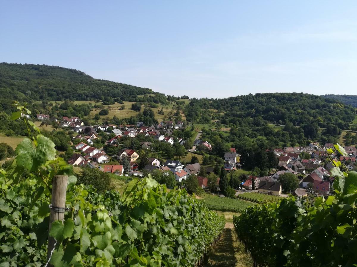 Apartment Schneeburg Ebringen 외부 사진