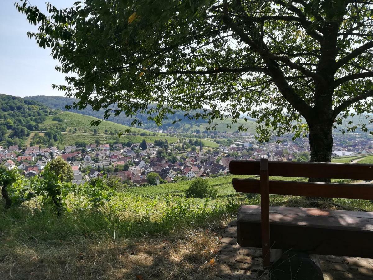 Apartment Schneeburg Ebringen 외부 사진